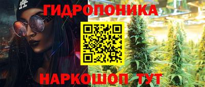 ПСИЛОЦИБИНОВЫЕ ГРИБЫ Гусев