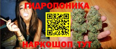 ПСИЛОЦИБИНОВЫЕ ГРИБЫ Гусев