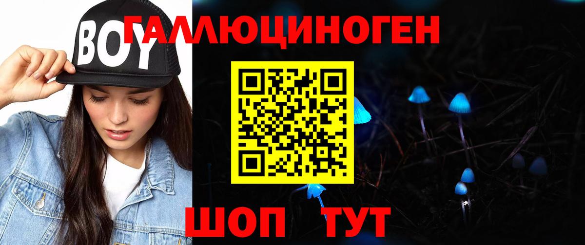Жуковский  Псилоцибиновые грибы MAGIC MUSHROOMS  Вход с VPN 